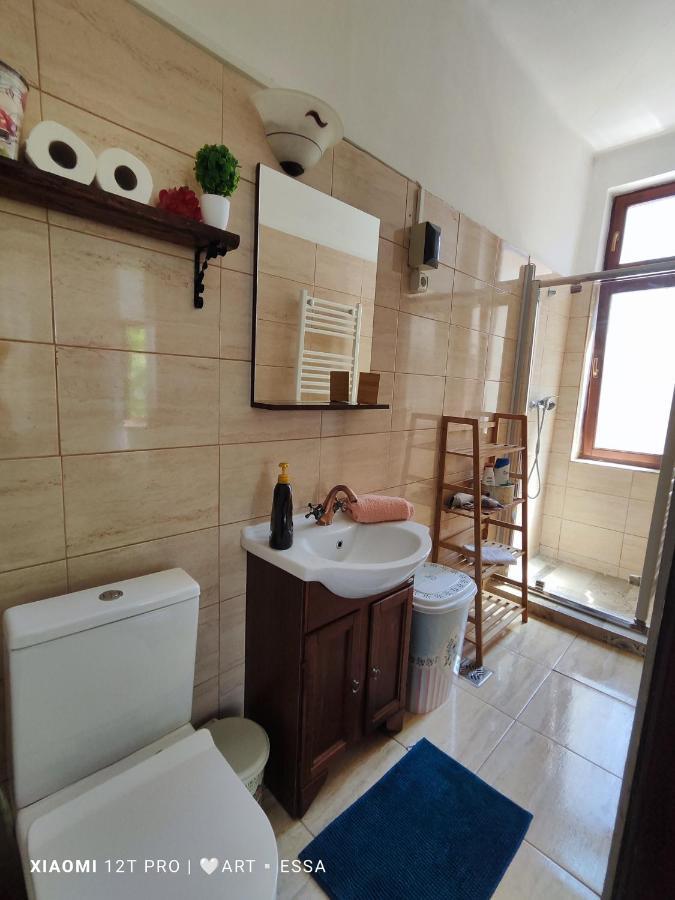 Apartament Buon Gusto,Near Main Square And Liar Bridge,Historical Side Of City Center Sibiu Exterior photo